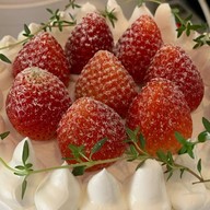 Elephant in the room Chiangmai