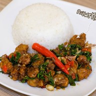 กินกะเพรา