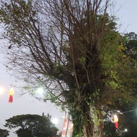 ก๋วยเตี๋ยวอะไรหวะ?