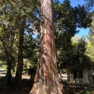 หน่วยพิทักษ์ป่าสบห้วยผาตั้ง - นาเลา