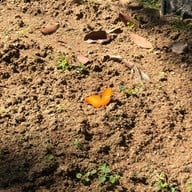 หน่วยพิทักษ์ป่าสบห้วยผาตั้ง - นาเลา