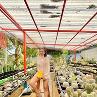 ทองหล่อ คาเฟ่