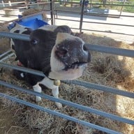 บ้านกล้วย&ไข่