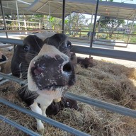 บ้านกล้วย&ไข่