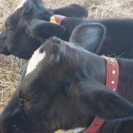 บ้านกล้วย&ไข่