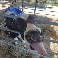 บ้านกล้วย&ไข่