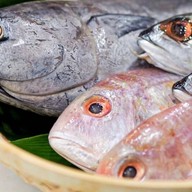 Salmon Café Salmon Café Rama2