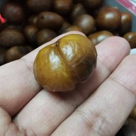 เกาลัดนายเล็ก เยาวราช