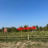 หุ่นฟางยักษ์ บ้านคลองใหญ่