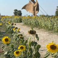 หุ่นฟางยักษ์ บ้านคลองใหญ่