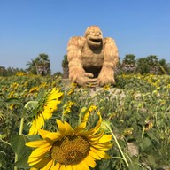 หุ่นฟางยักษ์ บ้านคลองใหญ่