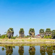 หุ่นฟางยักษ์ บ้านคลองใหญ่