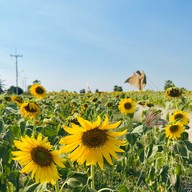 หุ่นฟางยักษ์ บ้านคลองใหญ่