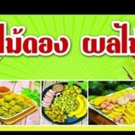 ดราก้อนสเต็ก
