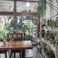 Masonia Tree & Coffee Cafe