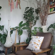 Masonia Tree & Coffee Cafe