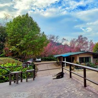 บรรยากาศ สถานีวิจัยต้นน้ำขุนสถาน