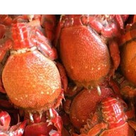 ปลาแซลมอนเสียบไม้ ตลาดเดินเล่น เทอดไท 33