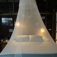 ดิโอลด์ไทมส์ลันตา