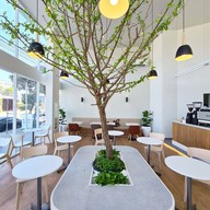 Whiteline Cafe -  coffee & bakery