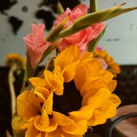 Like Italy Cafe-Bakery Phra Arthit Road