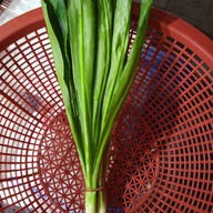 ร้านพี่เเต ผักสด