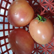 ร้านพี่เเต ผักสด