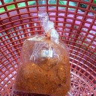 ร้านพี่เเต ผักสด