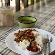 ต้นไทร