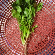 ร้านพี่เเต ผักสด