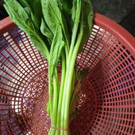 ร้านพี่เเต ผักสด