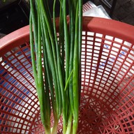 ร้านพี่เเต ผักสด