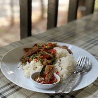 ต้นไทร