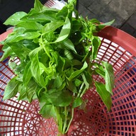 ร้านพี่เเต ผักสด