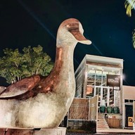 D'Duck ดีดั๊ก