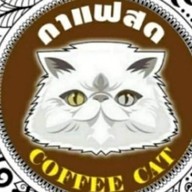 coffee  cat หมู่บ้านลานทอง