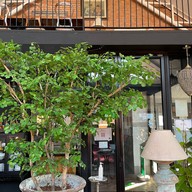 Cainito Homemade Restaurant   One nimman