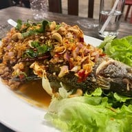 ครัวต้นไทร