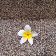 บรรยากาศ วัดถ้ำพุทธาวาส (วัดถ้ำขุนแผน)