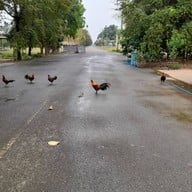 บรรยากาศ วัดถ้ำพุทธาวาส (วัดถ้ำขุนแผน)