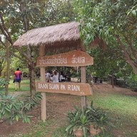 บรรยากาศ Summer Green ลับแล