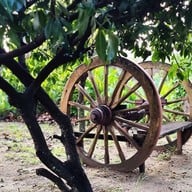 คีตะ วิลล่า [kiita Villa]