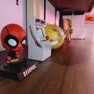 หมีริมคลอง