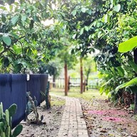 คีตะ วิลล่า [kiita Villa]