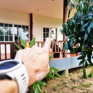 คีตะ วิลล่า [kiita Villa]