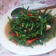 ใบเฟิร์น
