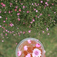 เมนูของร้าน LOST COFFEE HOUSE LOST COFFEE HOUSE KHAOYAI