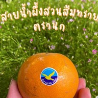ป้านกแก้วผลไม้ซิ่ง - Nokkaew Fast Fruit สันป่าข่อย