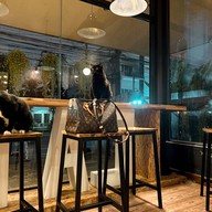 DOO CAT CAFE Phuket