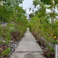บรรยากาศ วัดไชยชุมพลชนะสงคราม พระอารามหลวง (วัดใต้)